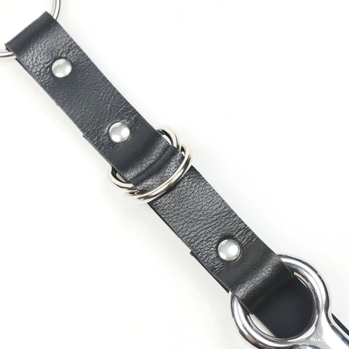 EverydayUse Kinky 5853 Collar Hook and with Leash Anal 0214